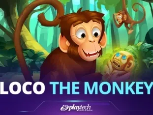 Loco The Monkey screenshot